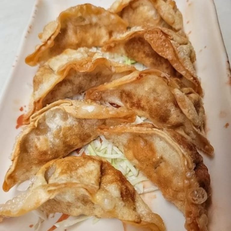 Delicious Gyoza: A Japanese Dumpling Delight